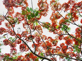 《暗黑破坏神4》第一赛季7月7日公布 《不朽》将有新职业